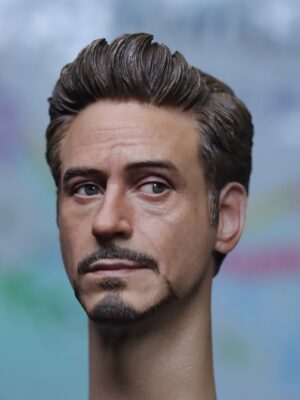 Pre-Sale Robert Downey Jr. Iron Man 1/6 Scale Hand-Painted Head Sculpture