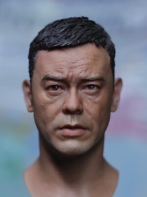 Pre-Sale 刘青云 Sean Andy 1/6 Scale Hand-Painted Head Sculpture