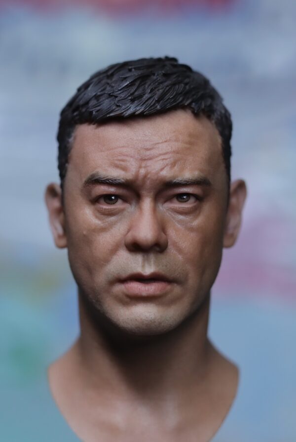 Pre-Sale 刘青云 Sean Andy 1/6 Scale Hand-Painted Head Sculpture