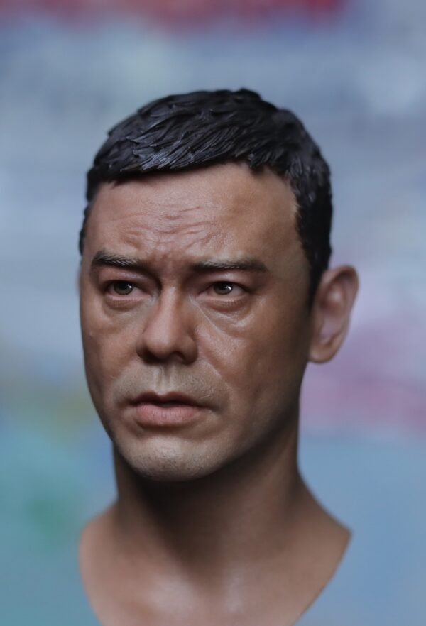 Pre-Sale 刘青云 Sean Andy 1/6 Scale Hand-Painted Head Sculpture