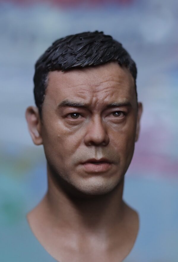 Pre-Sale 刘青云 Sean Andy 1/6 Scale Hand-Painted Head Sculpture