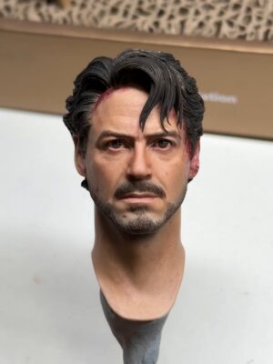 Pre-Sale Robert Downey Jr. Iron Man 1/6 Scale Hand-Painted Head Sculpture