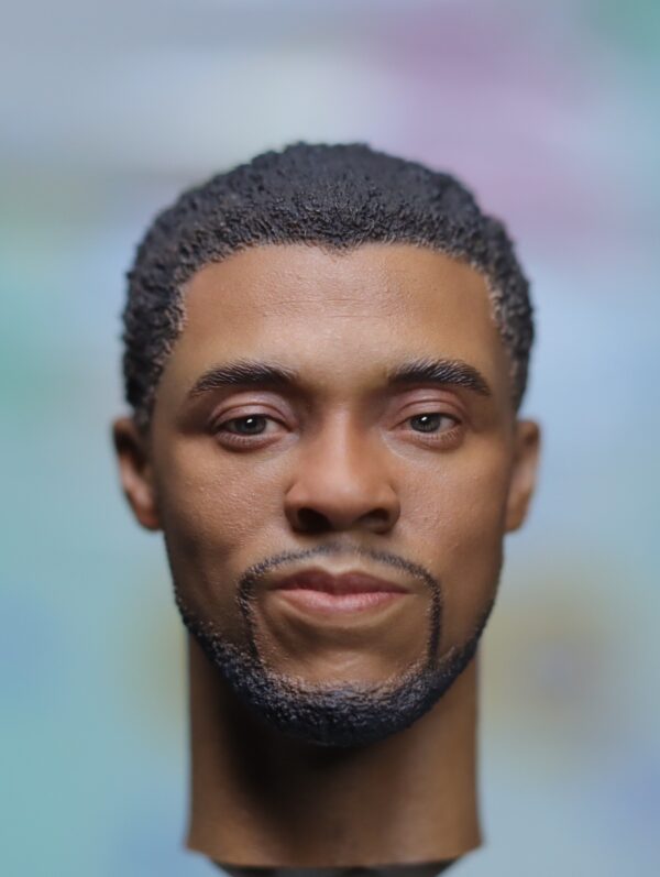 Pre-Sale Black Panther 1/6 Scale Hand-Painted Head Sculpture