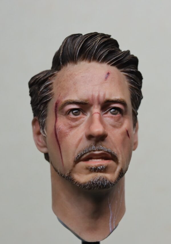 Pre-Sale Robert Downey Jr. Iron Man 1/6 Scale Hand-Painted Head Sculpture