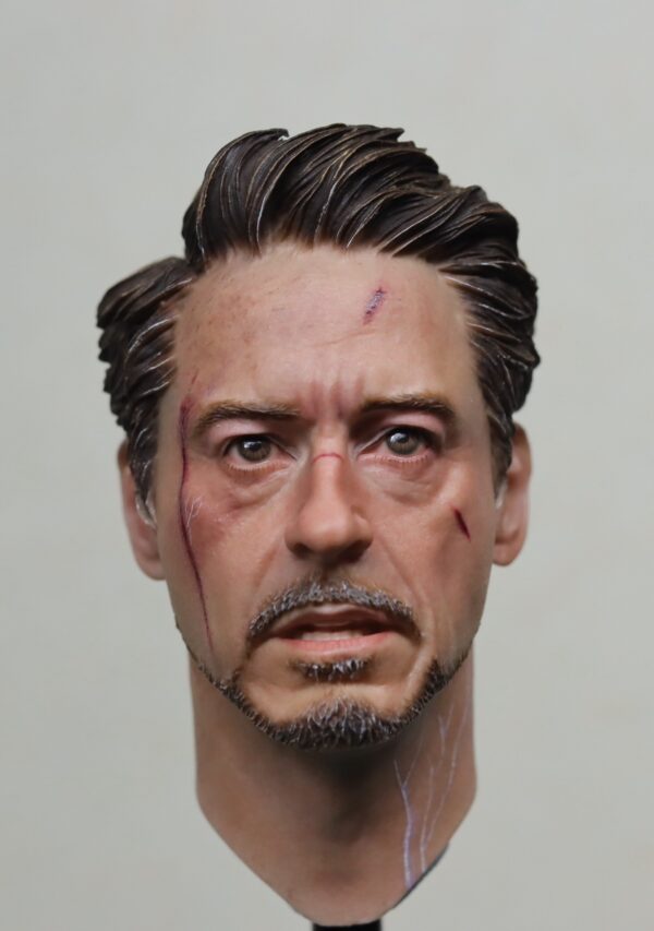 Pre-Sale Robert Downey Jr. Iron Man 1/6 Scale Hand-Painted Head Sculpture