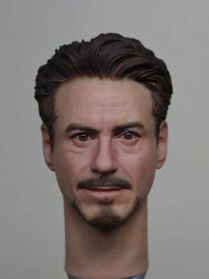 Pre-Sale Robert Downey Jr. Iron Man 1/6 Scale Hand-Painted Head Sculpture