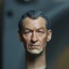 Pre-Sale Magneto 1/6 Scale Hand-Painted Head Sculpture