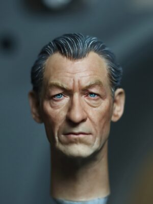 Pre-Sale Magneto 1/6 Scale Hand-Painted Head Sculpture