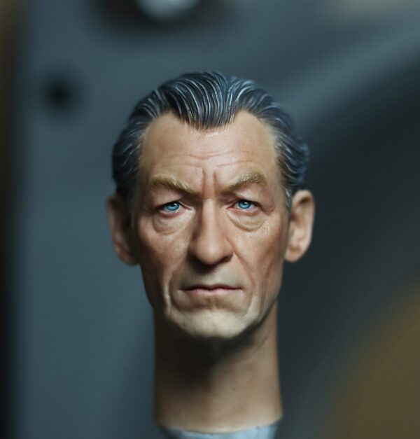 Pre-Sale Magneto 1/6 Scale Hand-Painted Head Sculpture