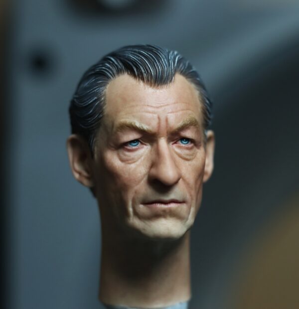 Pre-Sale Magneto 1/6 Scale Hand-Painted Head Sculpture