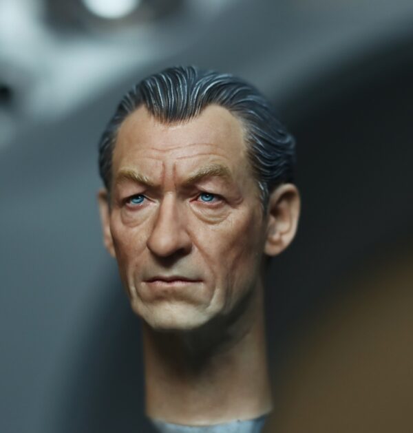 Pre-Sale Magneto 1/6 Scale Hand-Painted Head Sculpture