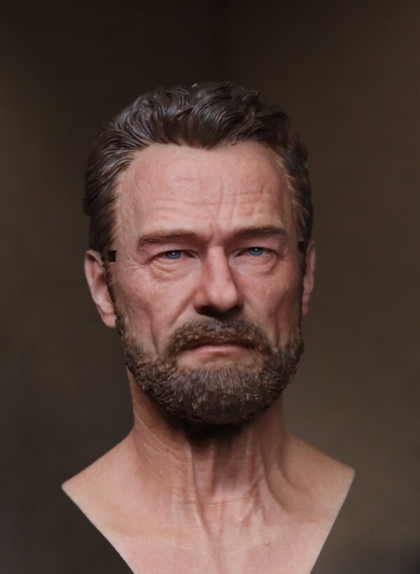 Pre-Sale Bryan Cranston 1/6 Scale Hand-Painted Head Sculpture