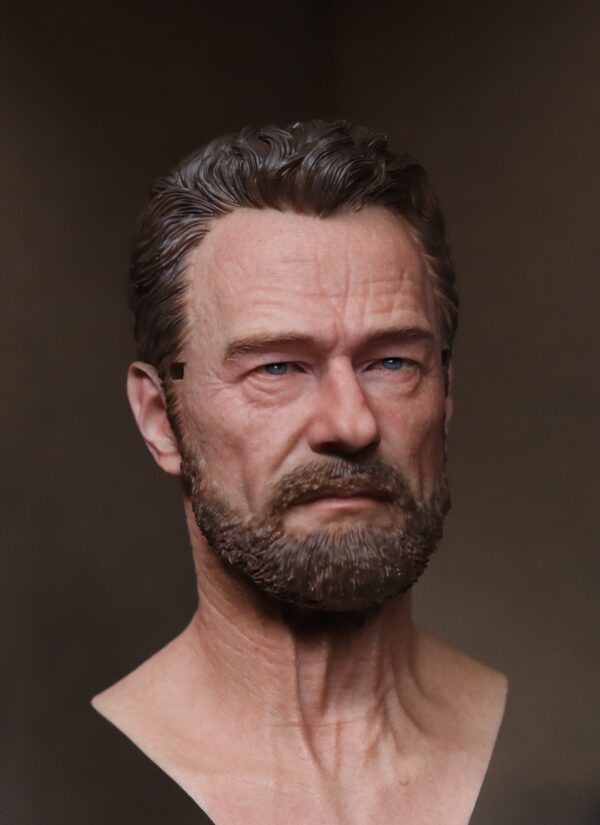 Pre-Sale Bryan Cranston 1/6 Scale Hand-Painted Head Sculpture