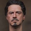 Pre-Sale Robert Downey Jr. Iron Man 1/6 Scale Hand-Painted Head Sculpture