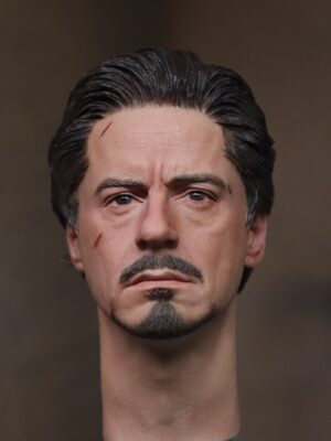 Pre-Sale Robert Downey Jr. Iron Man 1/6 Scale Hand-Painted Head Sculpture