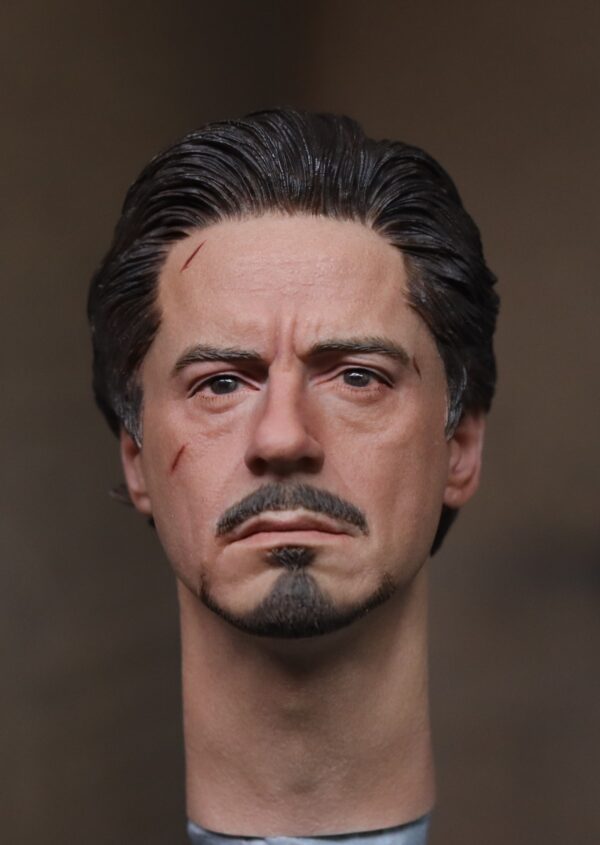 Pre-Sale Robert Downey Jr. Iron Man 1/6 Scale Hand-Painted Head Sculpture