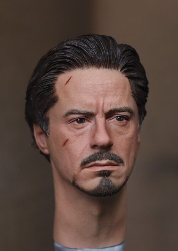 Pre-Sale Robert Downey Jr. Iron Man 1/6 Scale Hand-Painted Head Sculpture