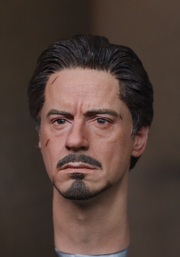 Pre-Sale Robert Downey Jr. Iron Man 1/6 Scale Hand-Painted Head Sculpture