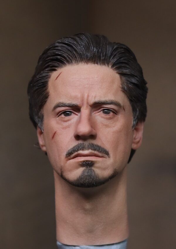 Pre-Sale Robert Downey Jr. Iron Man 1/6 Scale Hand-Painted Head Sculpture