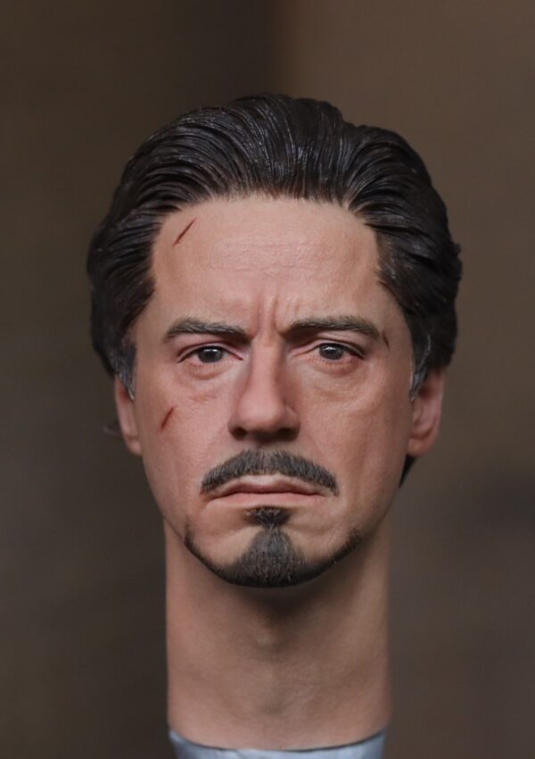 Pre-Sale Robert Downey Jr. Iron Man 1/6 Scale Hand-Painted Head Sculpture