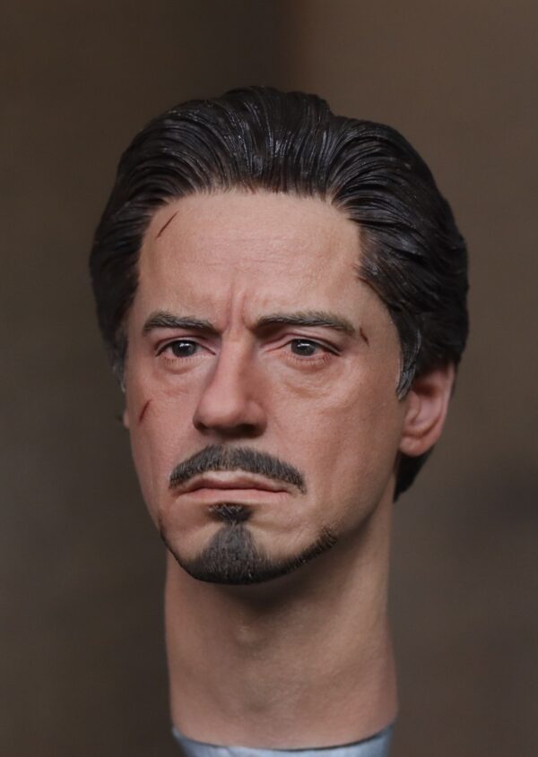 Pre-Sale Robert Downey Jr. Iron Man 1/6 Scale Hand-Painted Head Sculpture