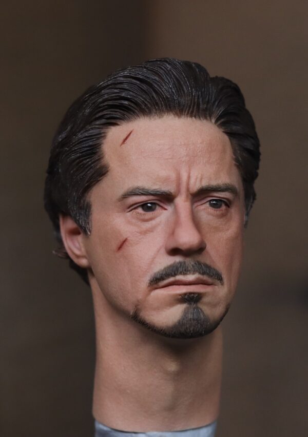 Pre-Sale Robert Downey Jr. Iron Man 1/6 Scale Hand-Painted Head Sculpture